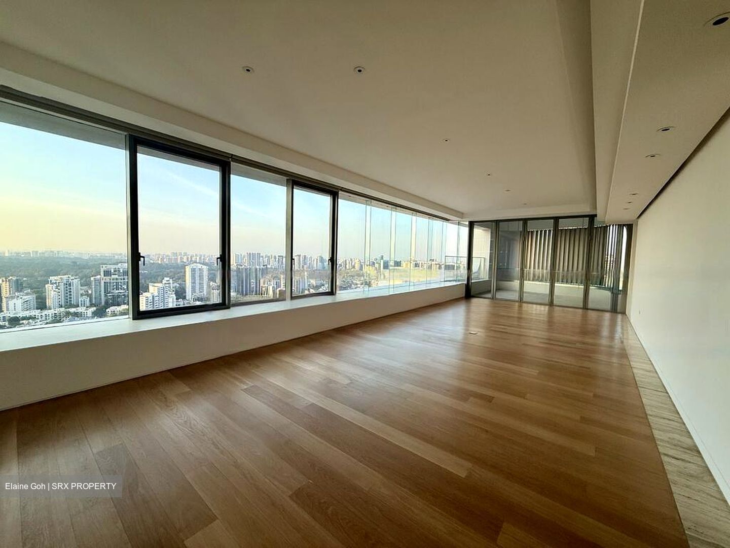 Ardmore Residence (D10), Condominium #487515381